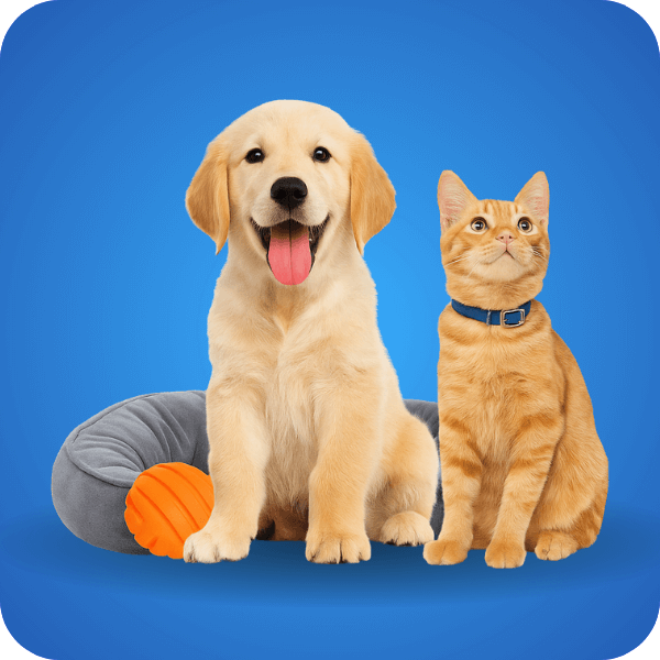 Pets