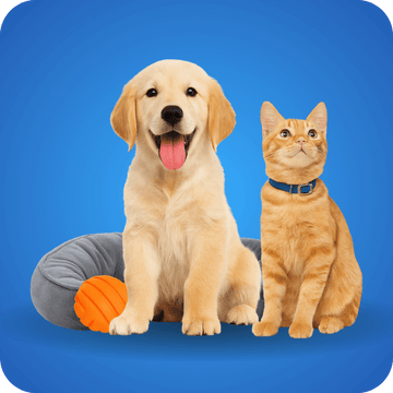 Pets
